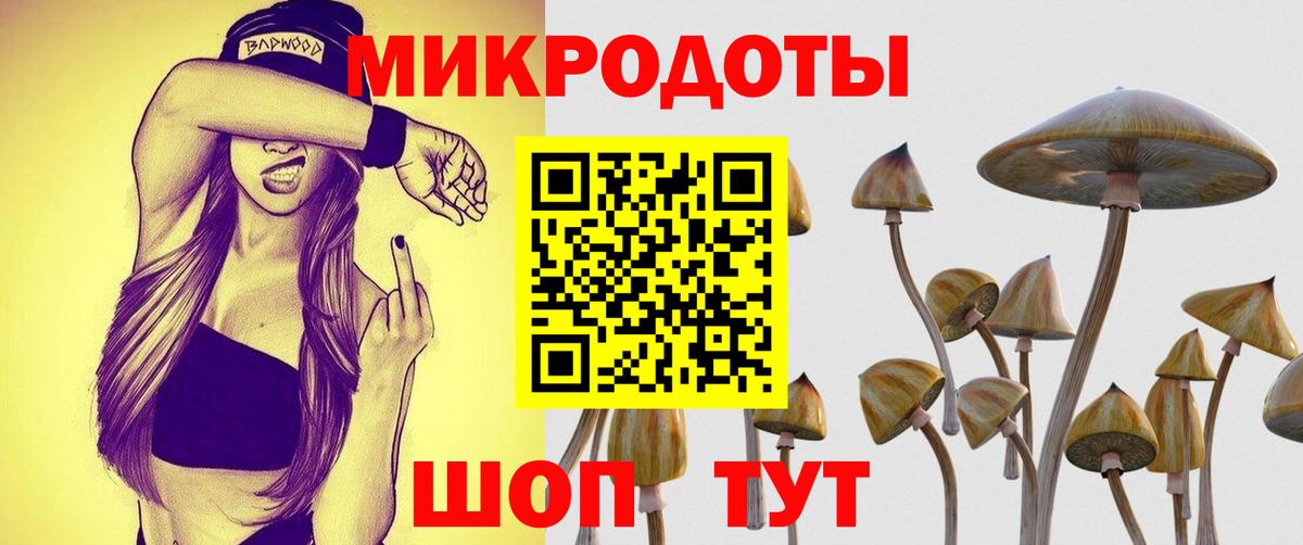 Галлюциногенные грибы Cubensis Рассказово